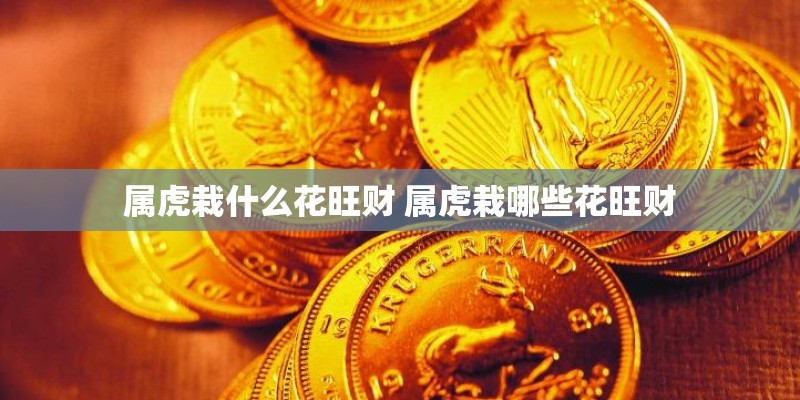 属虎栽什么花旺财 属虎栽哪些花旺财 属虎栽什么花旺财 属虎栽哪些花旺财