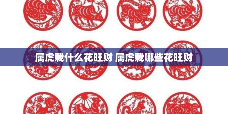 属虎栽什么花旺财 属虎栽哪些花旺财 属虎栽什么花旺财 属虎栽哪些花旺财