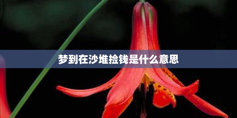 梦到在沙堆捡钱是什么意思 梦到在沙堆捡钱是什么意思