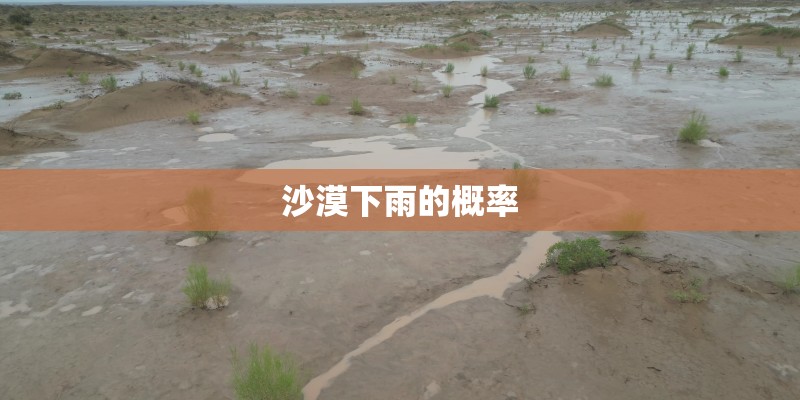 沙漠下雨的概率 沙漠下雨的概率