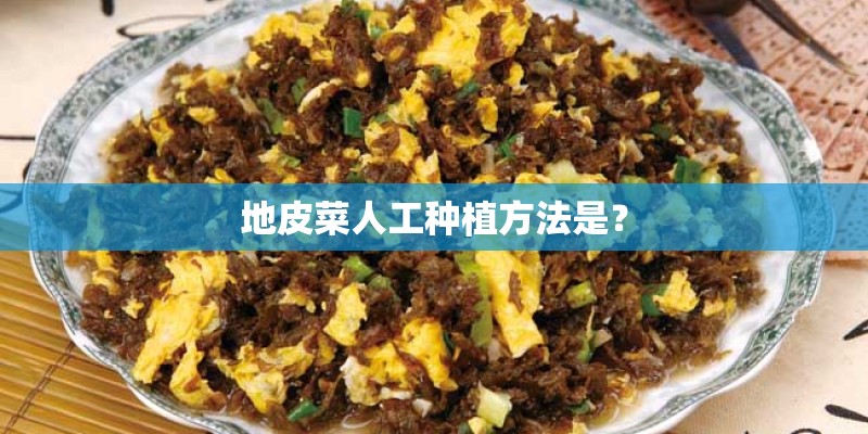 地皮菜人工种植方法是？