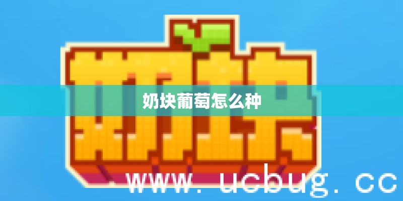 奶块葡萄怎么种