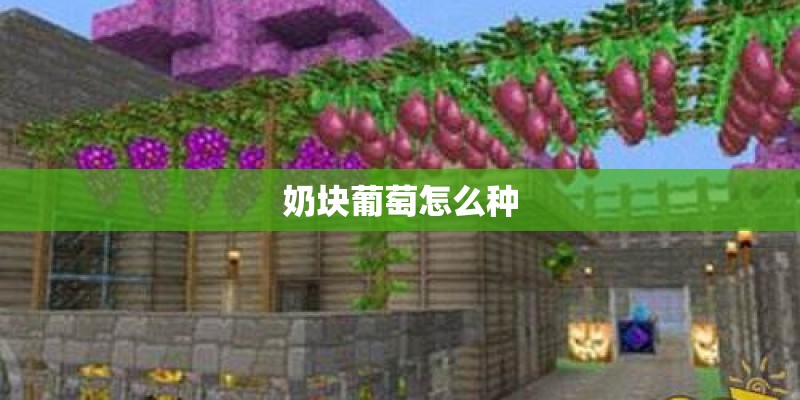 奶块葡萄怎么种 奶块葡萄怎么种