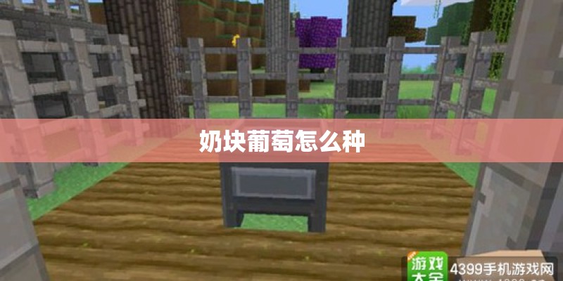 奶块葡萄怎么种 奶块葡萄怎么种
