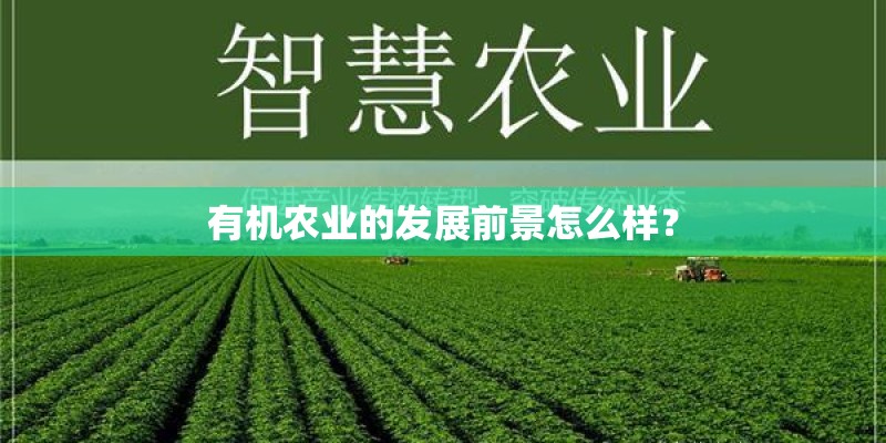 有机农业的发展前景怎么样? 有机农业的发展前景怎么样?