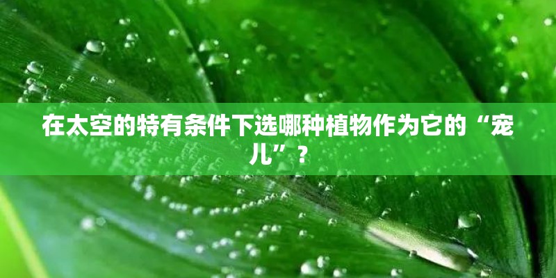在太空的特有条件下选哪种植物作为它的“宠儿”? 在太空的特有条件下选哪种植物作为它的“宠儿”?