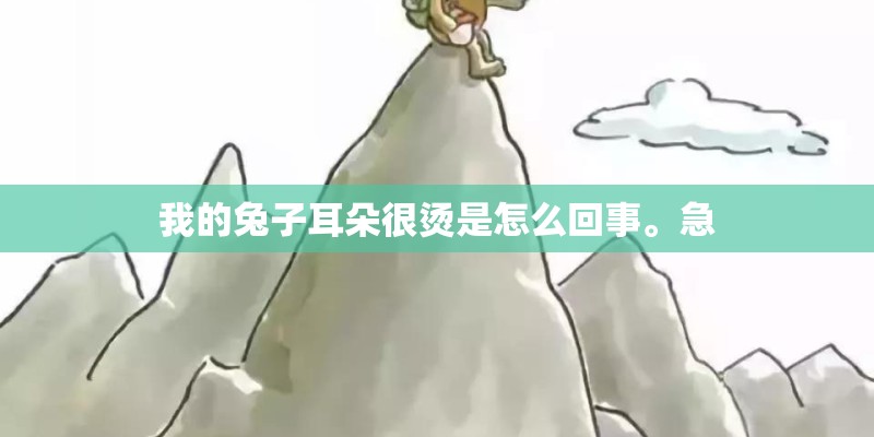 我的兔子耳朵很烫是怎么回事。急 我的兔子耳朵很烫是怎么回事。急