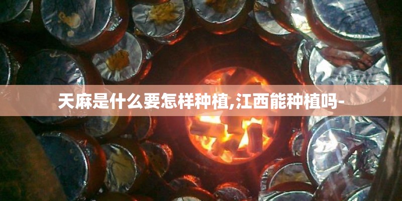 天麻是什么要怎样种植,江西能种植吗-