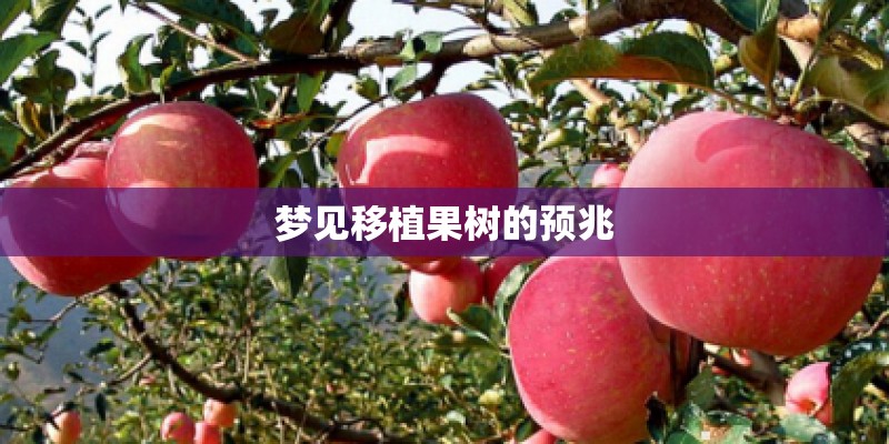 梦见移植果树的预兆 梦见移植果树的预兆