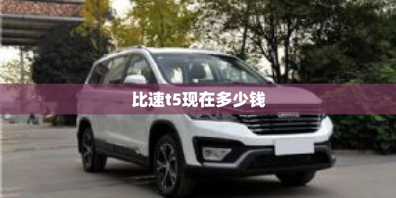 比速t5现在多少钱 比速t5现在多少钱