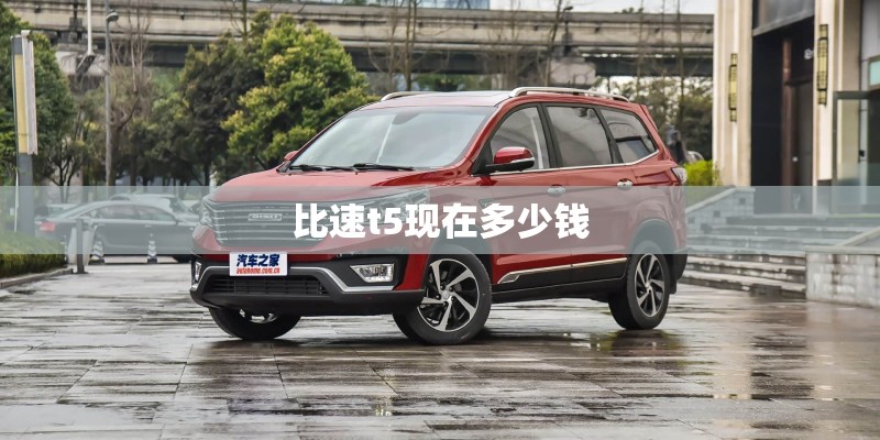 比速t5现在多少钱 比速t5现在多少钱