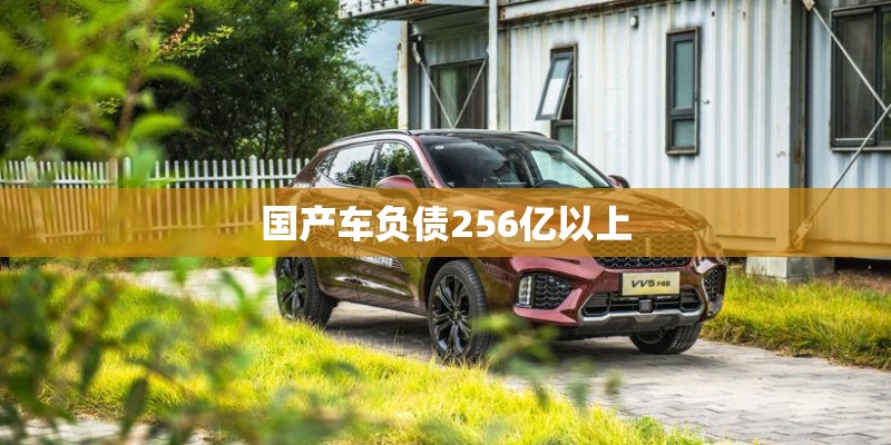 国产车负债256亿以上