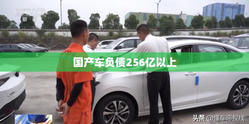 国产车负债256亿以上