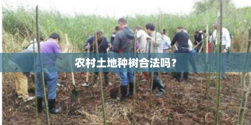 农村土地种树合法吗? 农村土地种树合法吗?