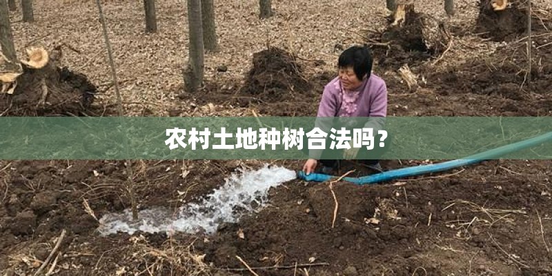 农村土地种树合法吗? 农村土地种树合法吗?