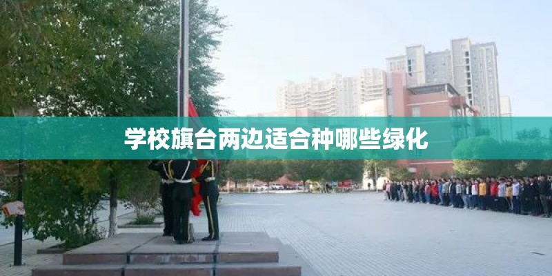 学校旗台两边适合种哪些绿化