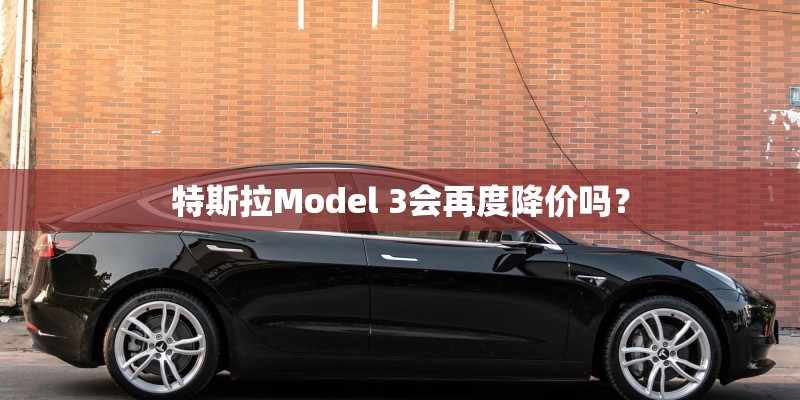 特斯拉Model 3会再度降价吗？