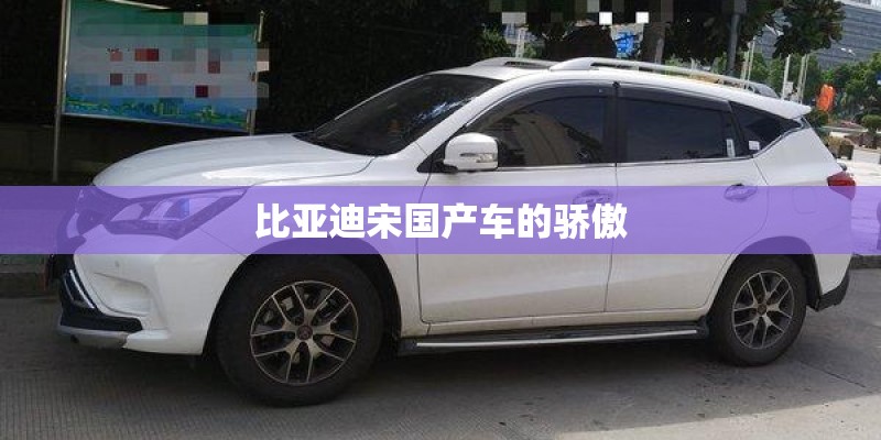 比亚迪宋国产车的骄傲