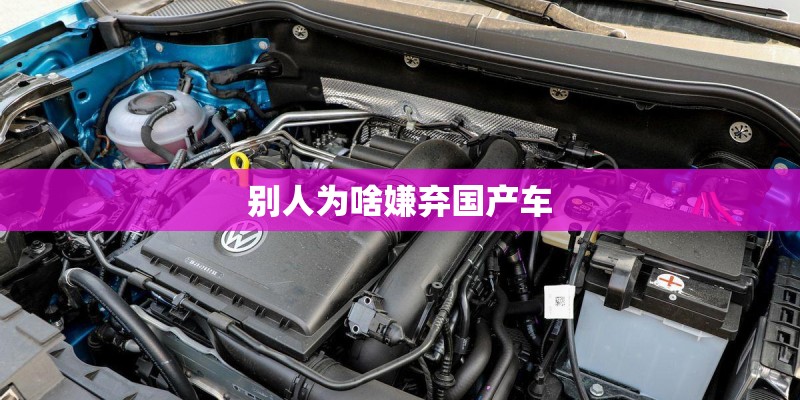 别人为啥嫌弃国产车
