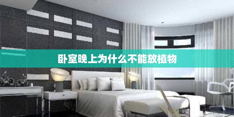 卧室晚上为什么不能放植物