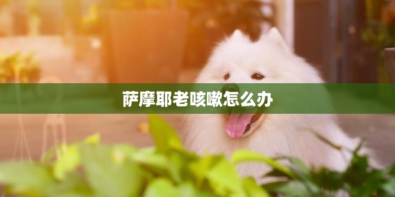 产品数据管理(PDM)和数据库系统有何区别? 产品数据管理(PDM)和数据库系统有何区别?