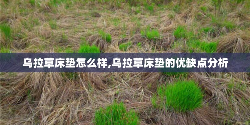乌拉草床垫怎么样,乌拉草床垫的优缺点分析 乌拉草床垫怎么样,乌拉草床垫的优缺点分析