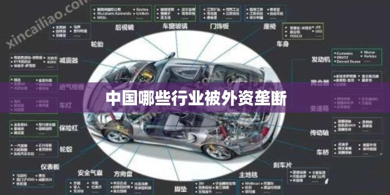 中国哪些行业被外资垄断