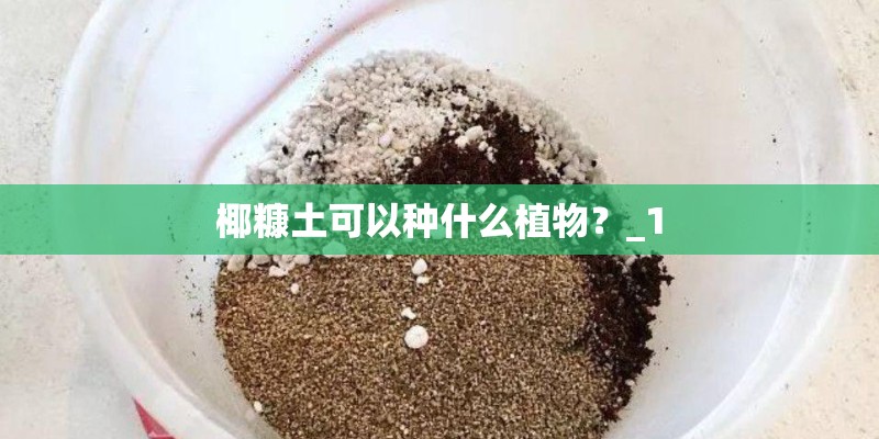 椰糠土可以种什么植物?_1 椰糠土可以种什么植物?_1