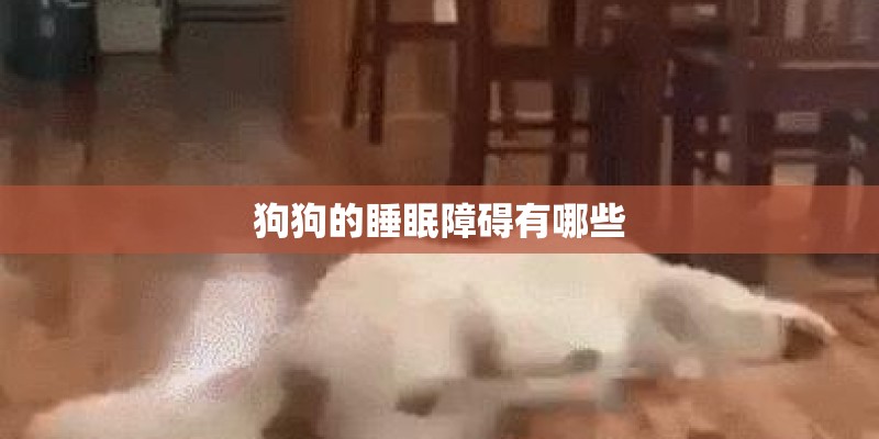 狗狗的睡眠障碍有哪些 狗狗的睡眠障碍有哪些