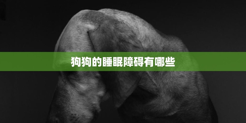 狗狗的睡眠障碍有哪些 狗狗的睡眠障碍有哪些