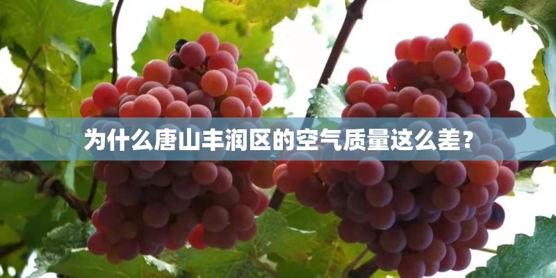 为什么唐山丰润区的空气质量这么差？