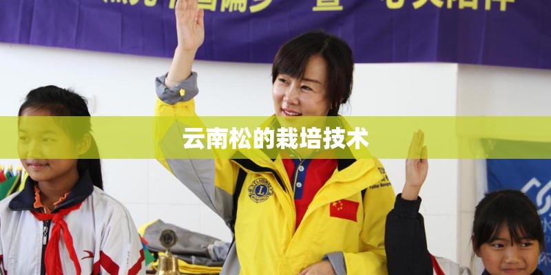 云南松的栽培技术