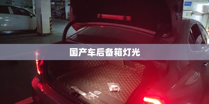 国产车后备箱灯光