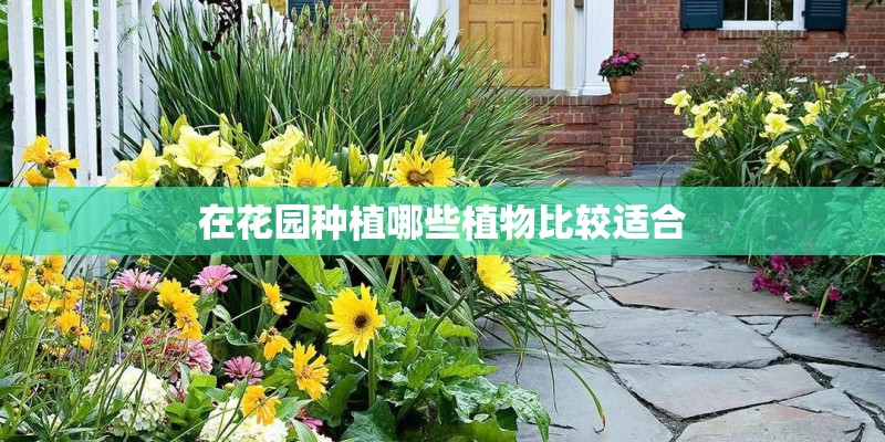 在花园种植哪些植物比较适合