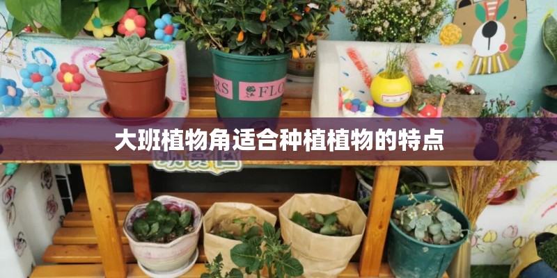 大班植物角适合种植植物的特点 大班植物角适合种植植物的特点