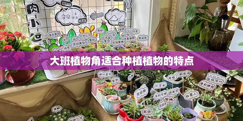大班植物角适合种植植物的特点 大班植物角适合种植植物的特点