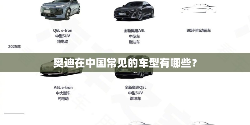 奥迪在中国常见的车型有哪些? 奥迪在中国常见的车型有哪些?