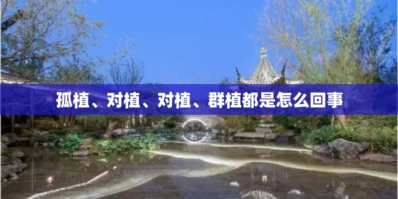 孤植、对植、对植、群植都是怎么回事