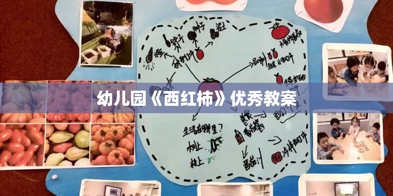 幼儿园《西红柿》优秀教案 幼儿园《西红柿》优秀教案