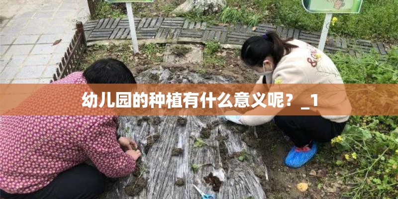 幼儿园的种植有什么意义呢？_1