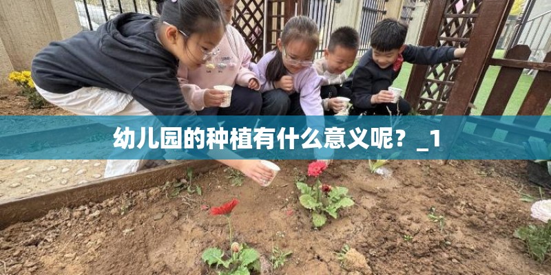 幼儿园的种植有什么意义呢?_1 幼儿园的种植有什么意义呢?_1