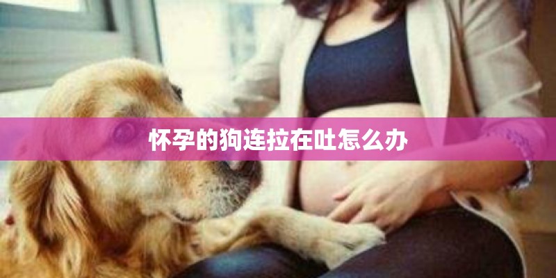 怀孕的狗连拉在吐怎么办 怀孕的狗连拉在吐怎么办