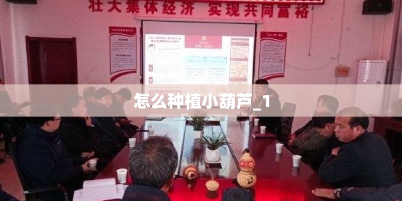 怎么种植小葫芦_1 怎么种植小葫芦_1