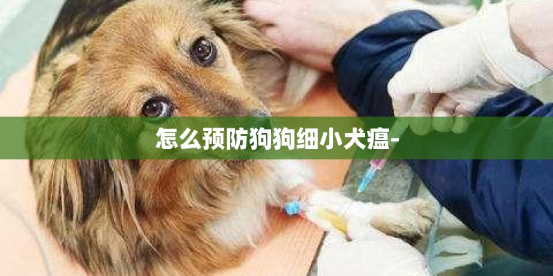 怎么预防狗狗细小犬瘟- 怎么预防狗狗细小犬瘟-
