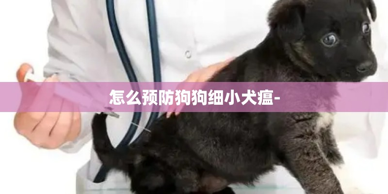 怎么预防狗狗细小犬瘟- 怎么预防狗狗细小犬瘟-