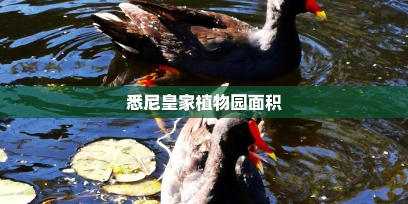 悉尼皇家植物园面积