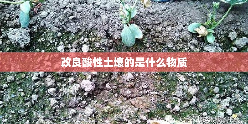 改良酸性土壤的是什么物质