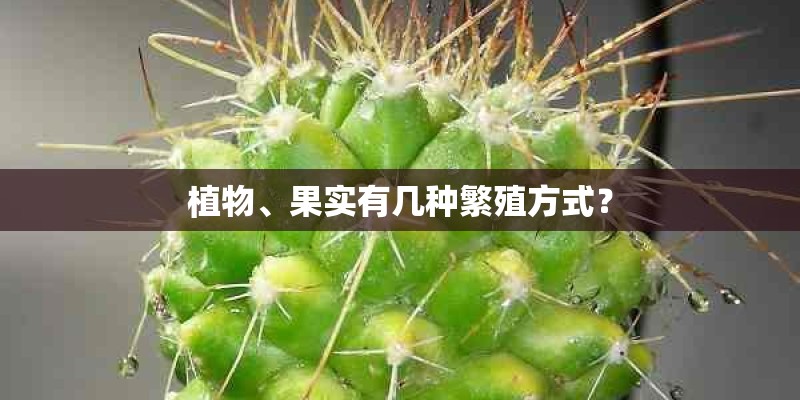 植物、果实有几种繁殖方式? 植物、果实有几种繁殖方式?