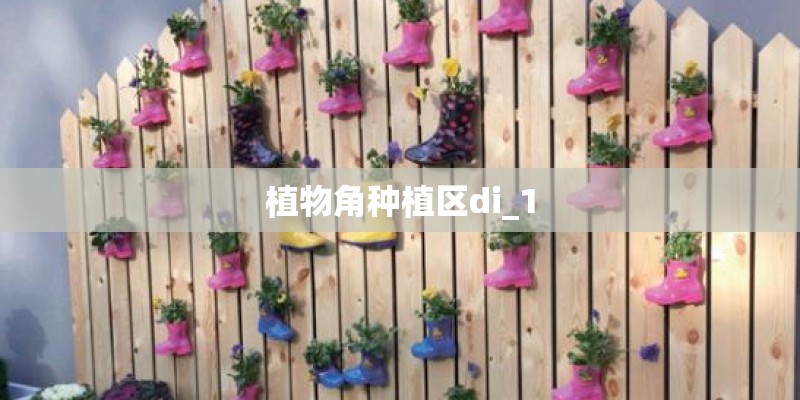 植物角种植区di_1 植物角种植区di_1