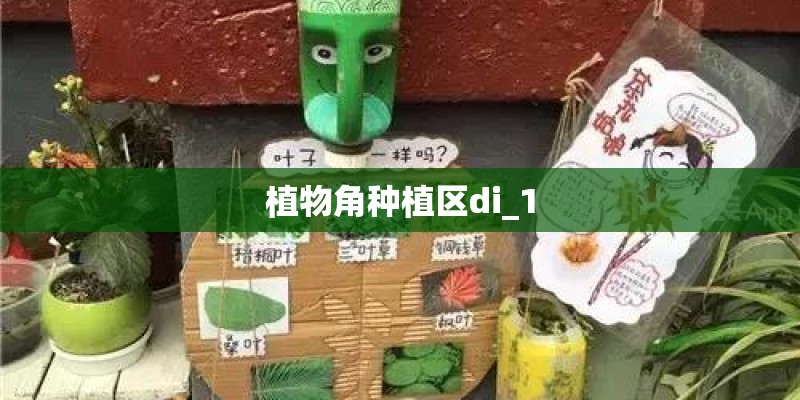 植物角种植区di_1 植物角种植区di_1